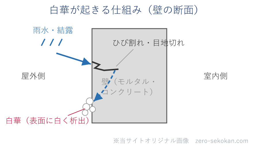 白華の仕組み。雨水がひび割れから壁に入り、内部の成分を溶かして表面に運び、白く析出する